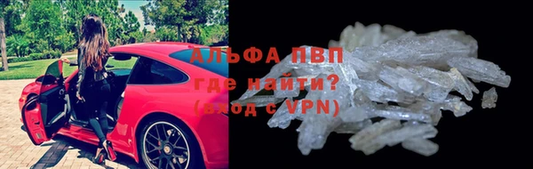 стаф Зерноград
