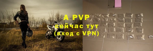 гашик Зеленокумск