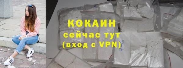 гашик Зеленокумск