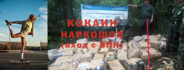 стаф Зерноград