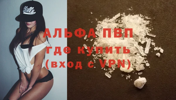 гашик Зеленокумск