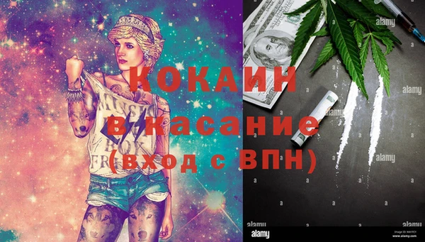 гашик Зеленокумск