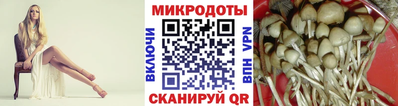 Псилоцибиновые грибы Magic Shrooms  Купить  Гаврилов Посад 